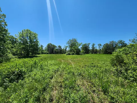 000 County Road 3330, Mountain View, MO 65548 photo 7