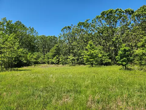 000 County Road 3330, Mountain View, MO 65548 photo 4