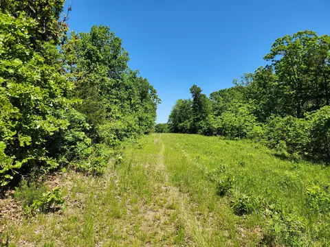 000 County Road 3330, Mountain View, MO 65548 photo 9
