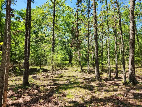 000 County Road 3330, Mountain View, MO 65548 photo 18