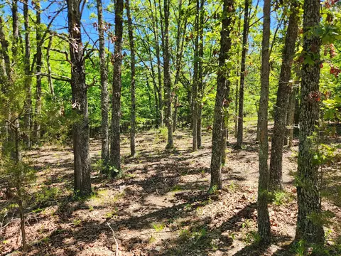 000 County Road 3330, Mountain View, MO 65548 photo 23