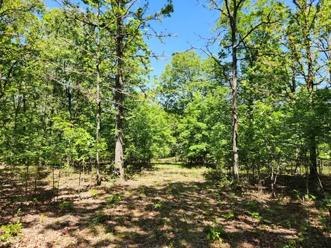 000 County Road 3330, Mountain View, MO 65548 photo 24