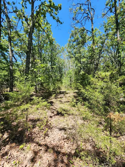 000 County Road 3330, Mountain View, MO 65548 photo 11