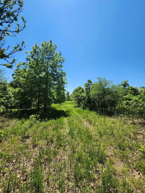 000 County Road 3330, Mountain View, MO 65548 photo 10