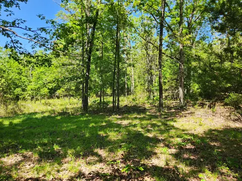 000 County Road 3330, Mountain View, MO 65548 photo 20