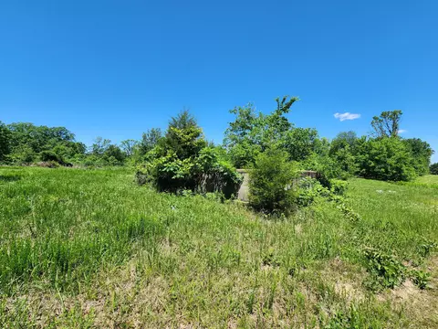 000 County Road 3330, Mountain View, MO 65548 photo 6