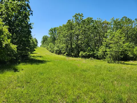 000 County Road 3330, Mountain View, MO 65548 photo 2