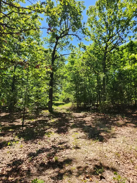 000 County Road 3330, Mountain View, MO 65548 photo 22