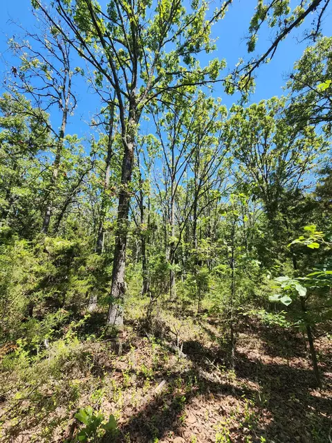 000 County Road 3330, Mountain View, MO 65548 photo 12