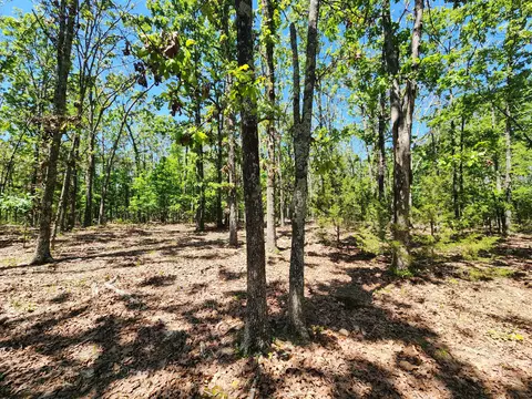 000 County Road 3330, Mountain View, MO 65548 photo 15