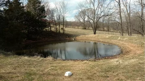 8197 Farm Road 1120, Purdy, MO 65734 photo 14