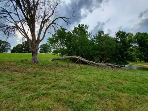 8197 Farm Road 1120, Purdy, MO 65734 photo 16