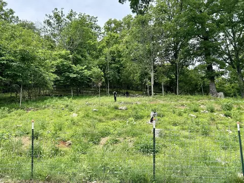 Exterior - 443 County Road 955, Squires, MO 65755 photo 17 of 20