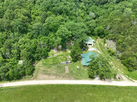 View/Area - 443 County Road 955, Squires, MO 65755 photo 3 of 5