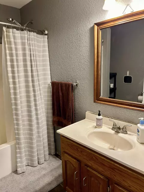 Bath - 443 County Road 955, Squires, MO 65755 photo 5 of 7