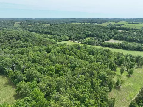 View/Area - 443 County Road 955, Squires, MO 65755 photo 5 of 5