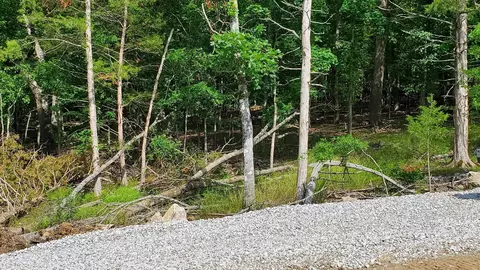 000 Lot 88 Summer Breeze, Kimberling City, MO 65686