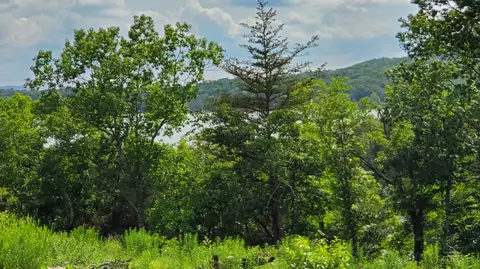 000 Lot 78 Summer Breeze, Kimberling City, MO 65686