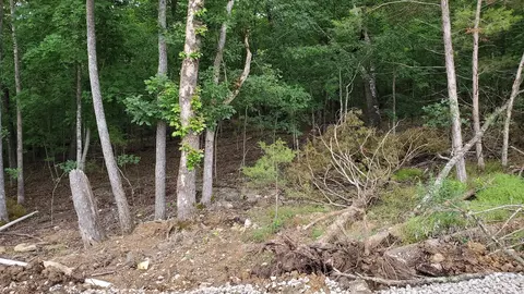 000 Lot 86 Summer Breeze, Kimberling City, MO 65686