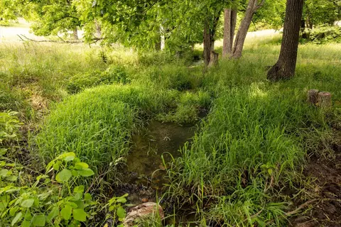 9450 E Farm Rd 112, Strafford, MO 65757 photo 18