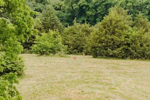 12203 State Highway A, Ava, MO 65608 photo 36