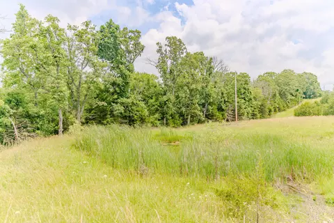 12203 State Highway A, Ava, MO 65608 photo 25