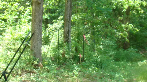 tbd County Road 3940, Mountain View, MO 65548 photo 2