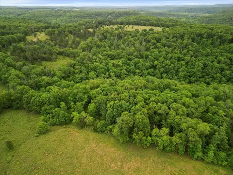 7064 County Road 14-223, Ava, MO 65608 photo 10