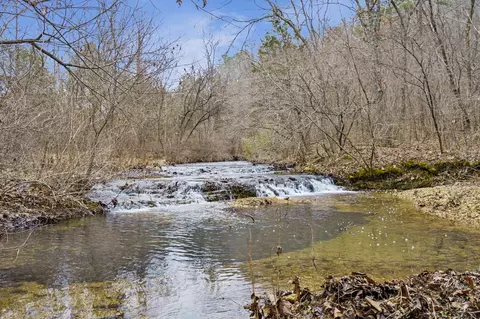 7064 County Road 14-223, Ava, MO 65608 photo 39