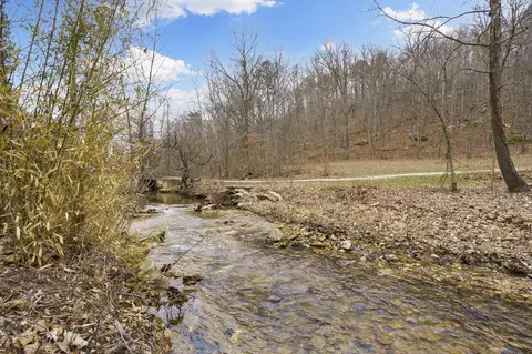 7064 County Road 14-223, Ava, MO 65608 photo 65