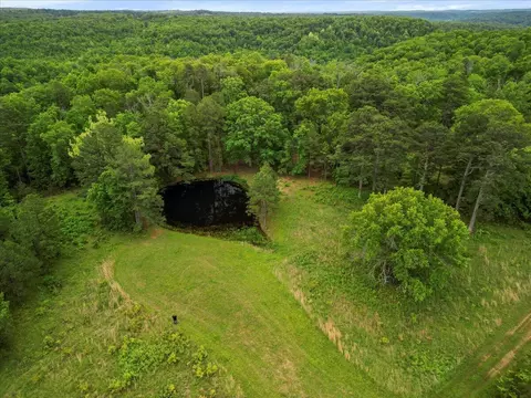 7064 County Road 14-223, Ava, MO 65608 photo 20