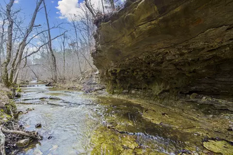 7064 County Road 14-223, Ava, MO 65608 photo 34
