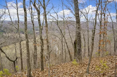 7064 County Road 14-223, Ava, MO 65608 photo 42