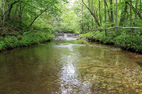 7064 County Road 14-223, Ava, MO 65608 photo 7