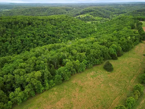 7064 County Road 14-223, Ava, MO 65608 photo 9