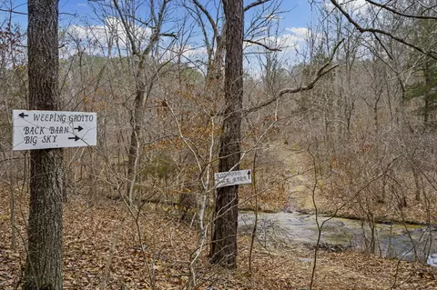 7064 County Road 14-223, Ava, MO 65608 photo 49