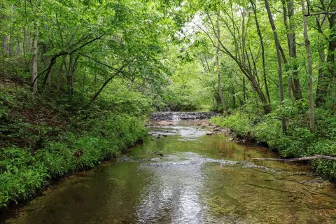 7064 County Road 14-223, Ava, MO 65608 photo 17