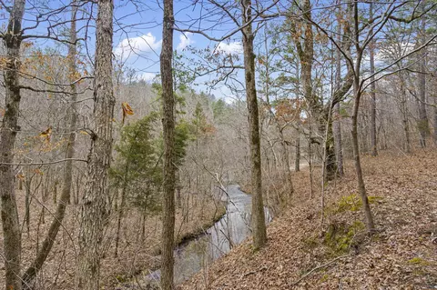 7064 County Road 14-223, Ava, MO 65608 photo 41