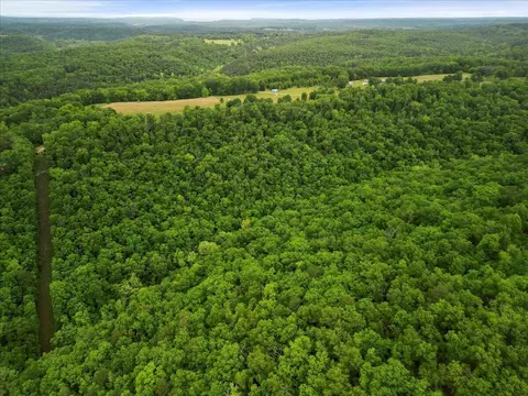 7064 County Road 14-223, Ava, MO 65608 photo 32