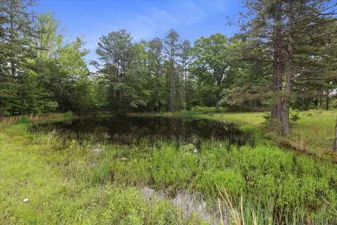 7064 County Road 14-223, Ava, MO 65608 photo 71