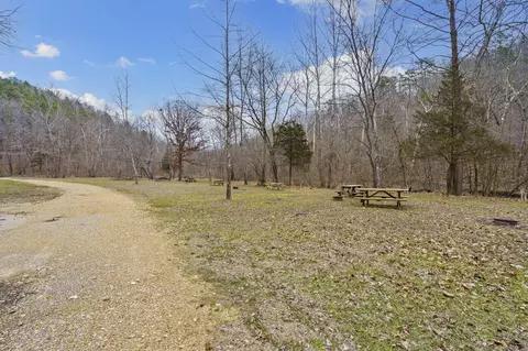 7064 County Road 14-223, Ava, MO 65608 photo 70