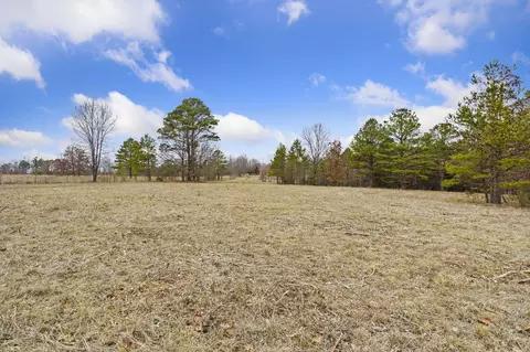 7064 County Road 14-223, Ava, MO 65608 photo 48