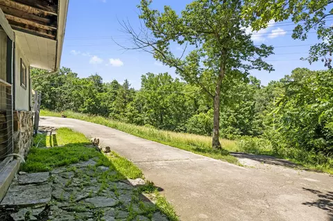 1066 Bird Rd, Branson, MO 65616 photo 22
