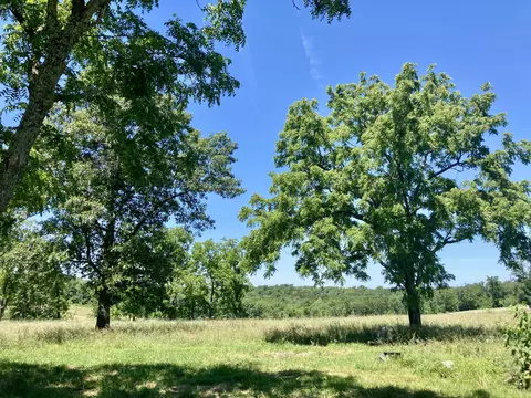 3148 Clark Ln, Mansfield, MO 65704 photo 11