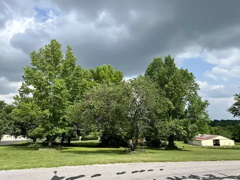 297 Colombo Rd, Ozark, MO 65721 photo 59