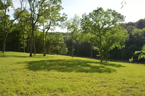 0 Hidden Meadow Ave, Branson, MO 65616 photo 4