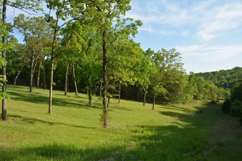 0 Hidden Meadow Ave, Branson, MO 65616 photo 5