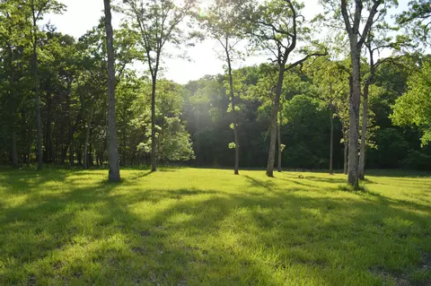 0 Hidden Meadow Ave, Branson, MO 65616 photo 3