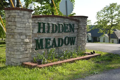 0 Hidden Meadow Ave, Branson, MO 65616 photo 8