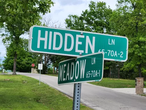 0 Hidden Meadow Ave, Branson, MO 65616 photo 9